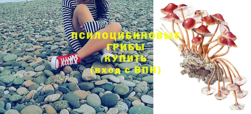 Псилоцибиновые грибы Magic Shrooms  mega онион  Киров  закладки 